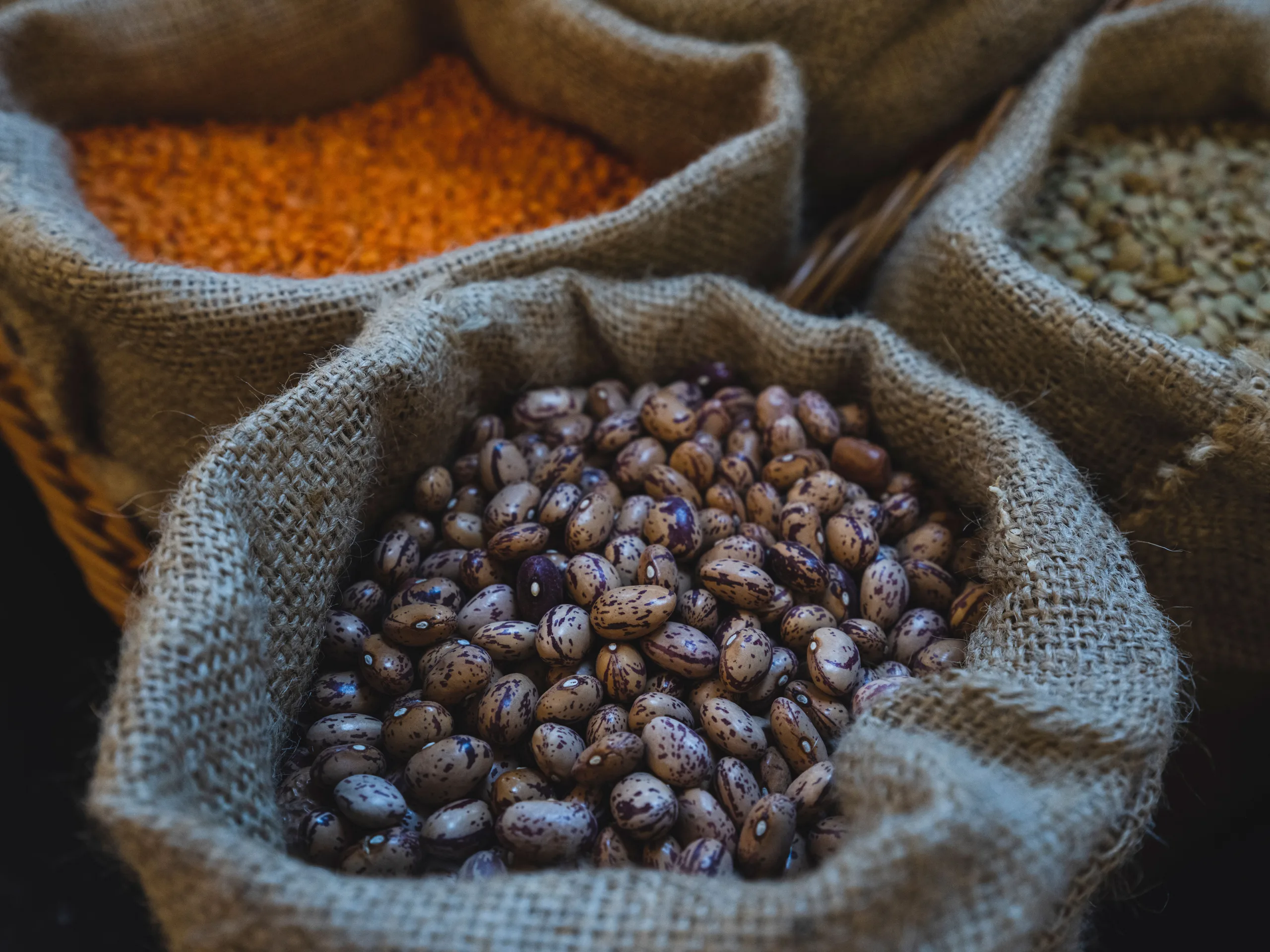 Sacos de alimento apilados listos para despacho